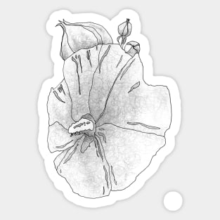 Hibiscus B/W Parkinsons Therapy Art Sticker